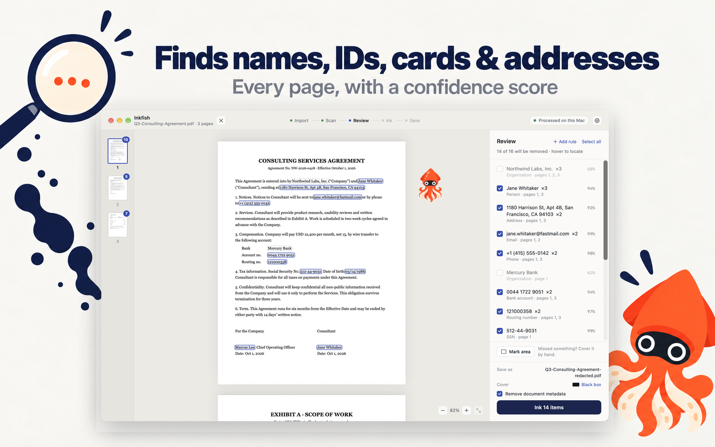 The review list with each finding's count, kind, pages and confidence score — person, address, email, phone, bank account, routing number and SSN.