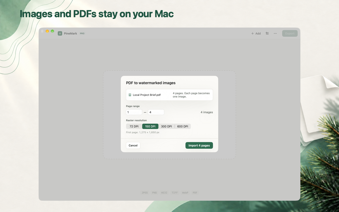 PineMark PDF page range and raster resolution import sheet