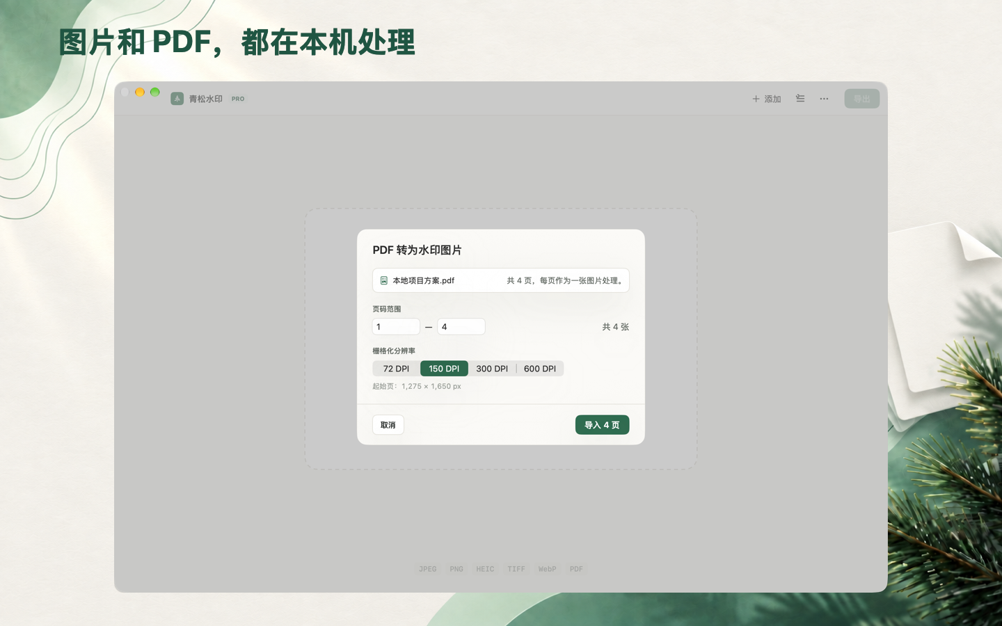 青松水印 PDF 页码范围与栅格分辨率导入设置